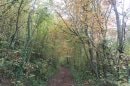 Bois de St Pierre d'Autil